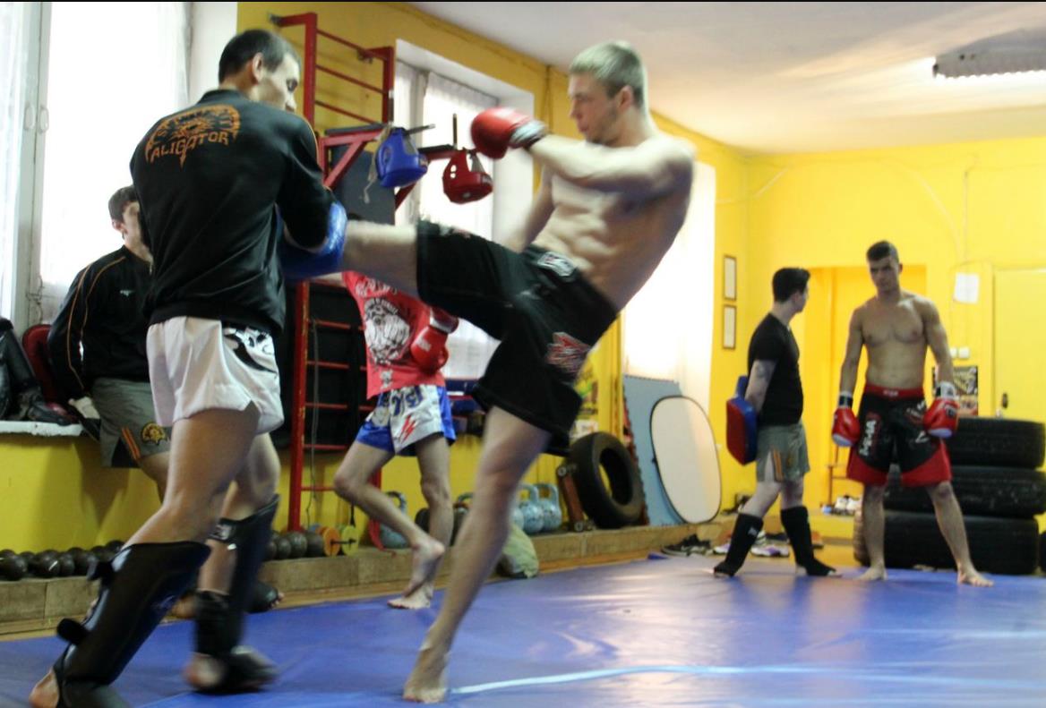 Ставки на тайский бокс особенности и роспись 6
