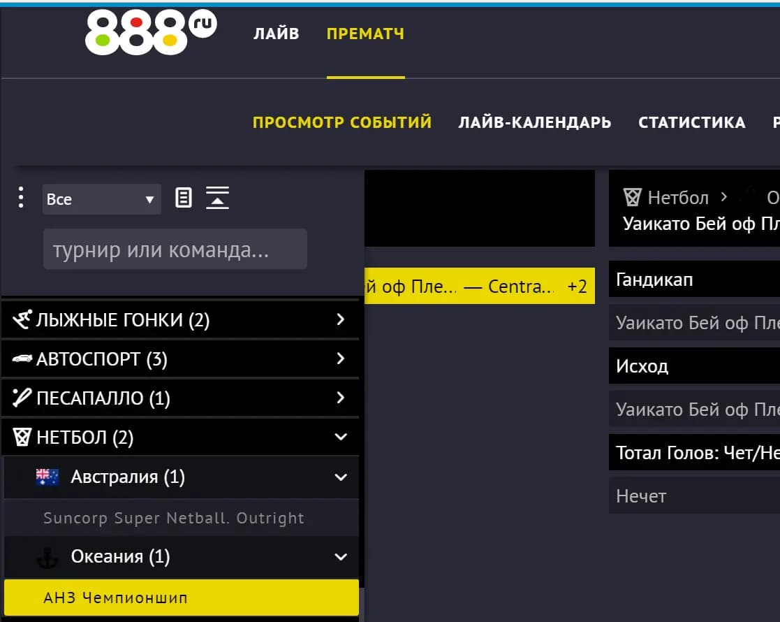 Нетбол букмекер