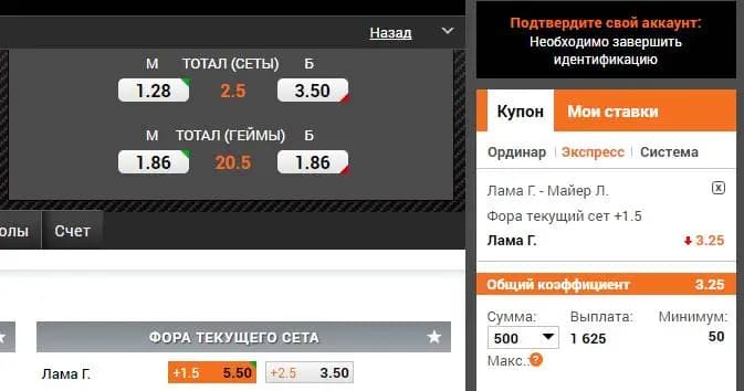 Как сделать первую ставку на большой теннис в букмекерской компании