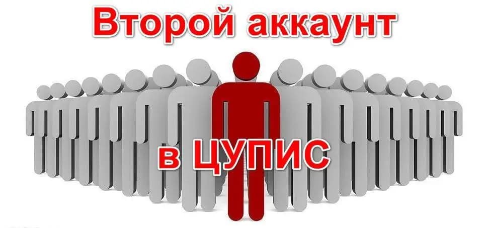 2 аккаунта цупис
