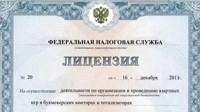 Лицензия ФНС