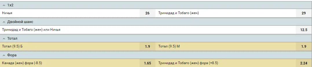 Виды ставок на хоккей с мячом