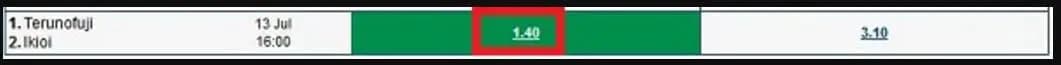 Чемпион турнира по сумо