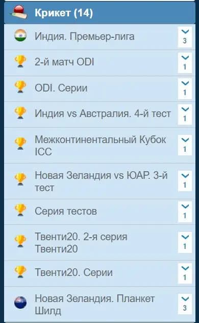 Виды ставок на крикет