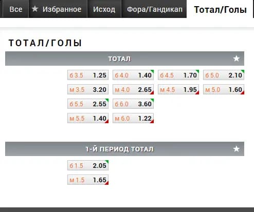 футзал тотал