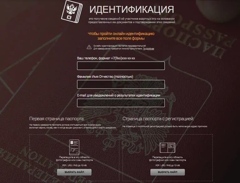 ФИО, Паспорт, контакты