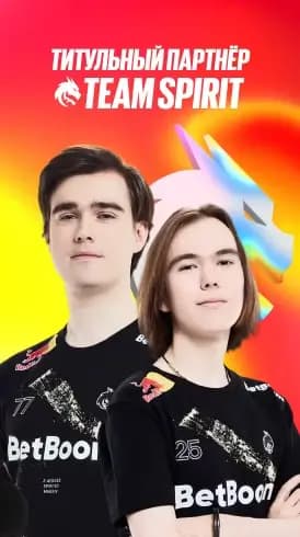 Титульный партнер team spirit