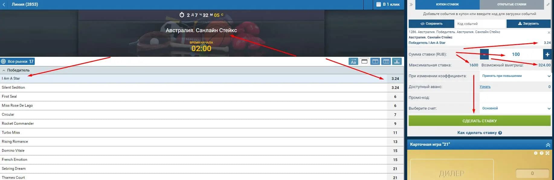 Процесс ставок на конный спорт