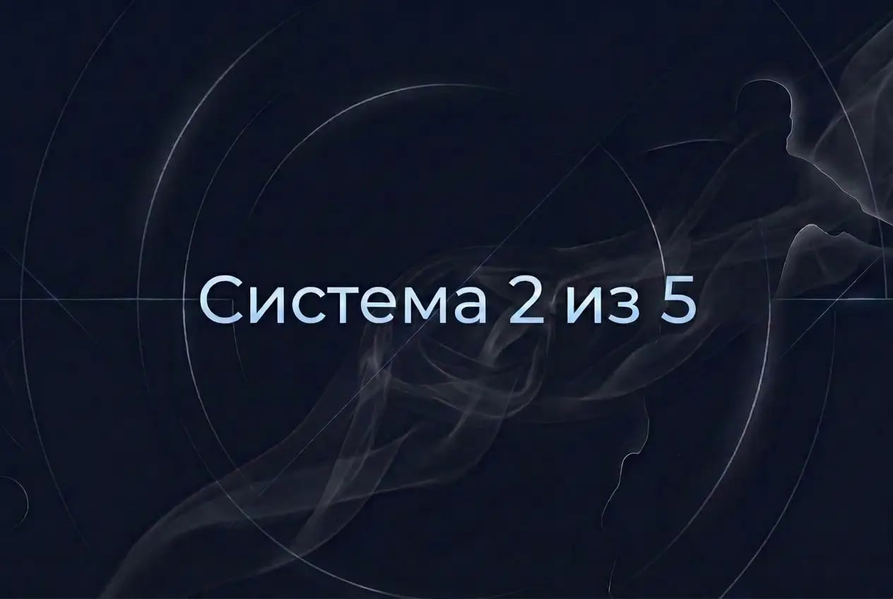2x5.webp