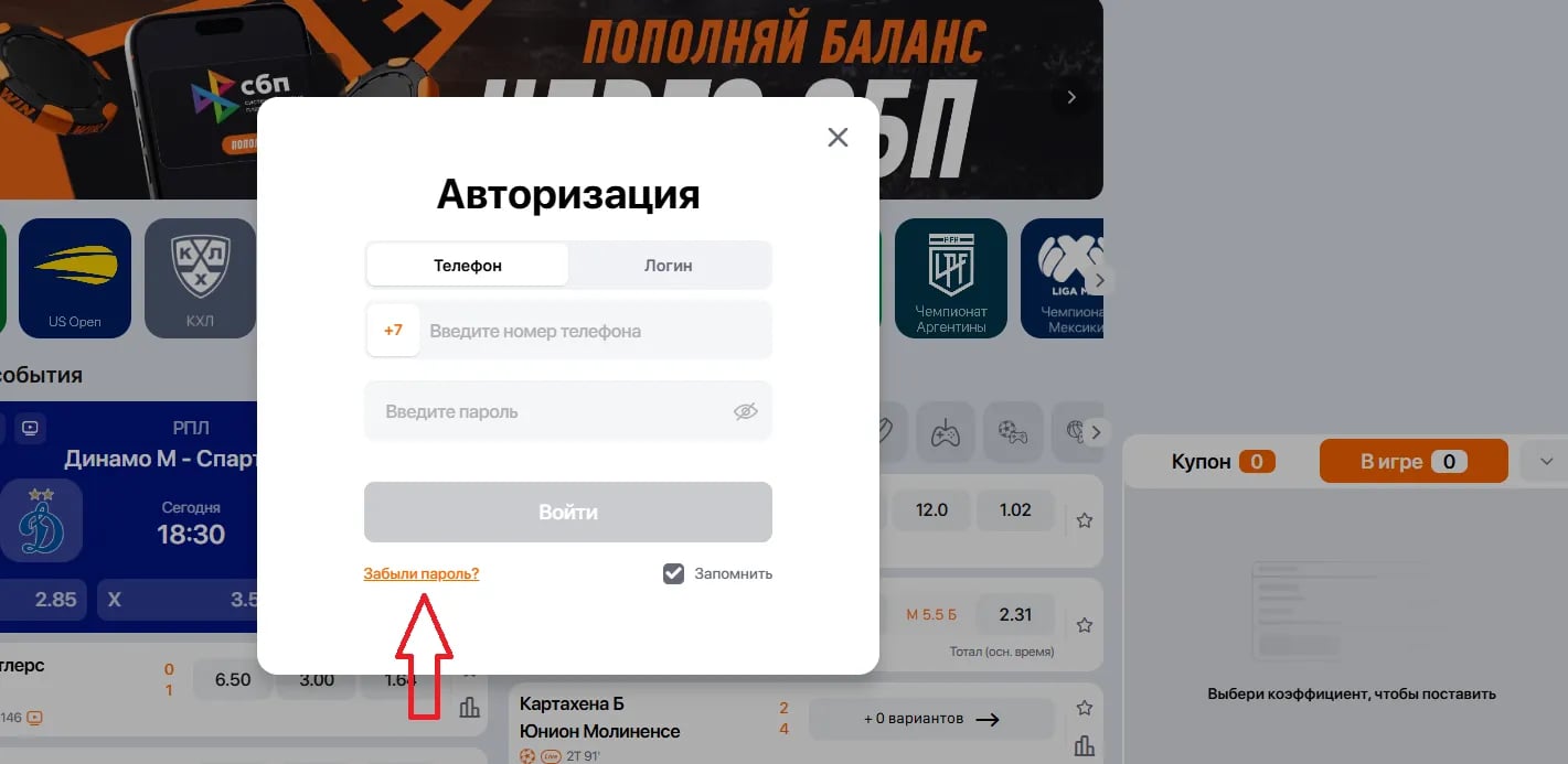 5.webp