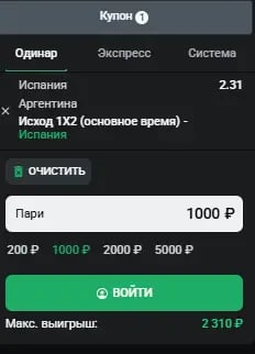 vidi_stavok_2.webp