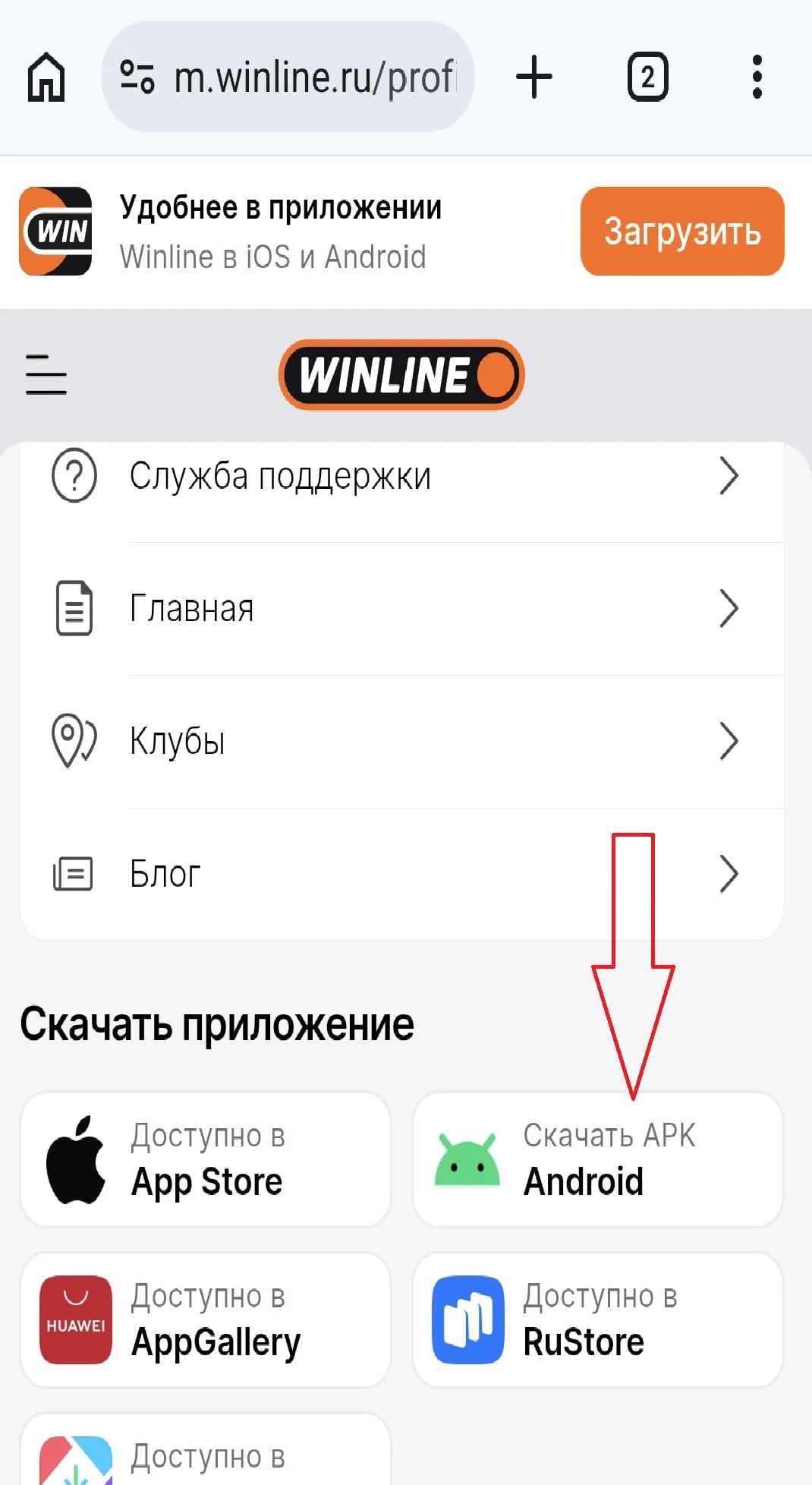 1.webp