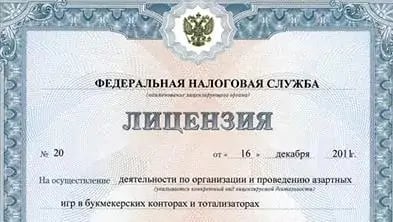 Лицензия ФНС