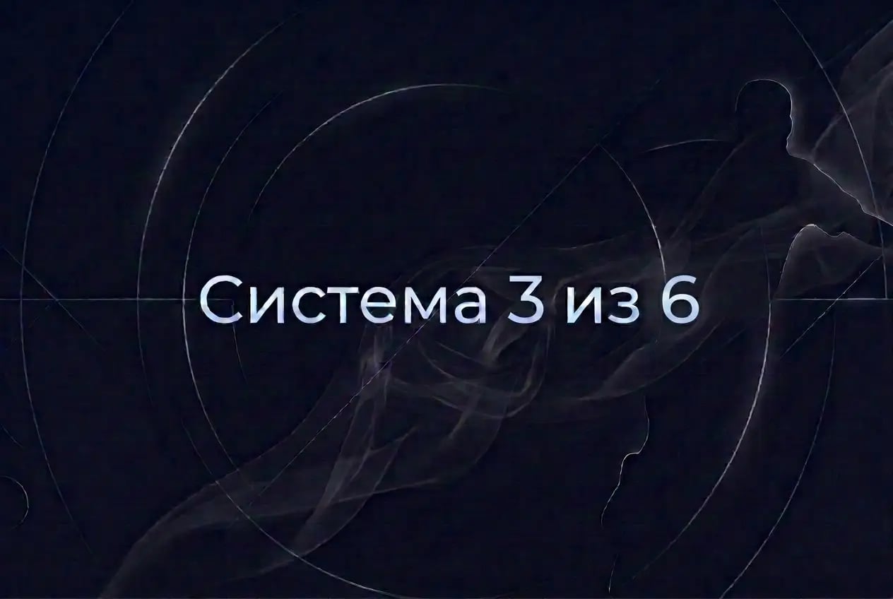 3x6.webp