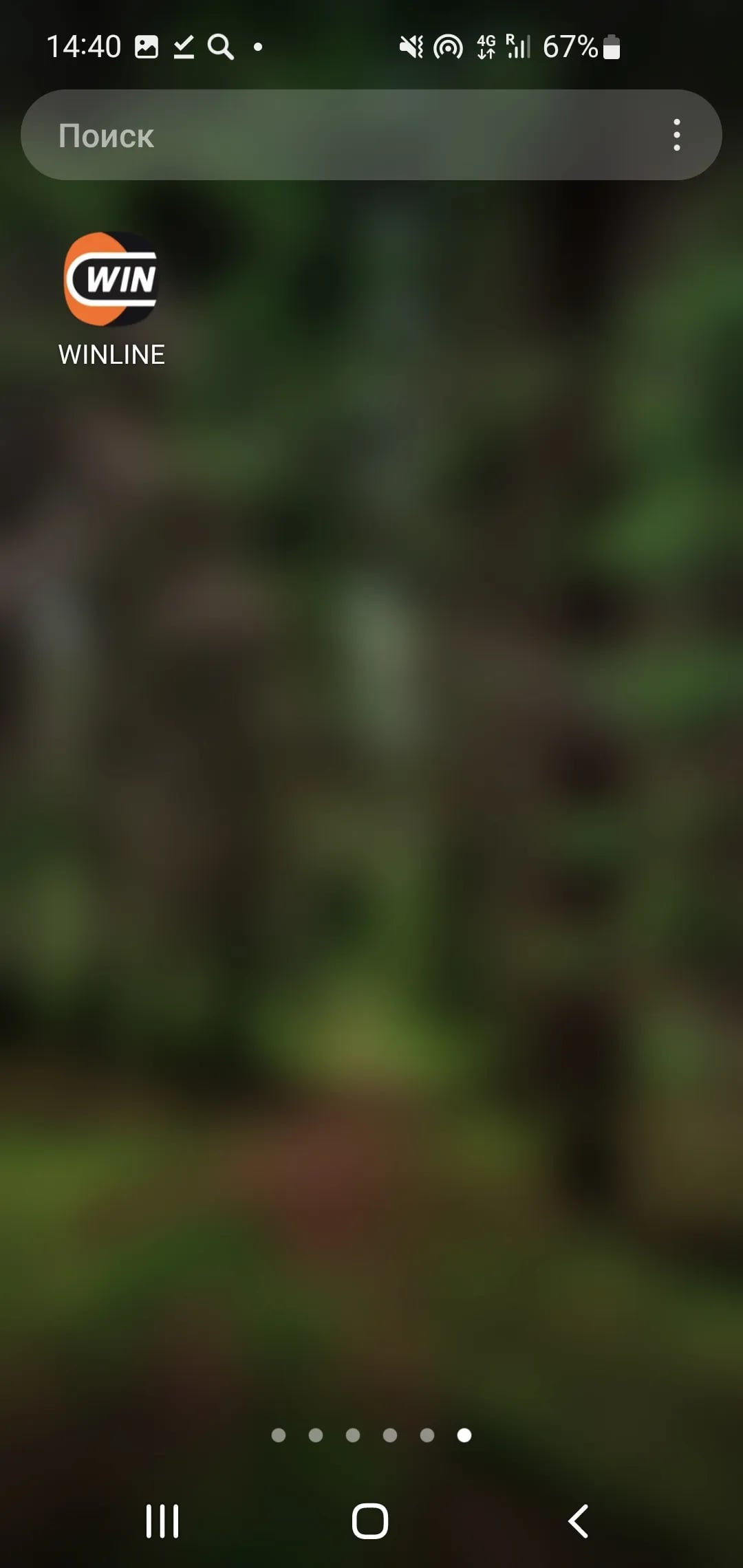4.webp