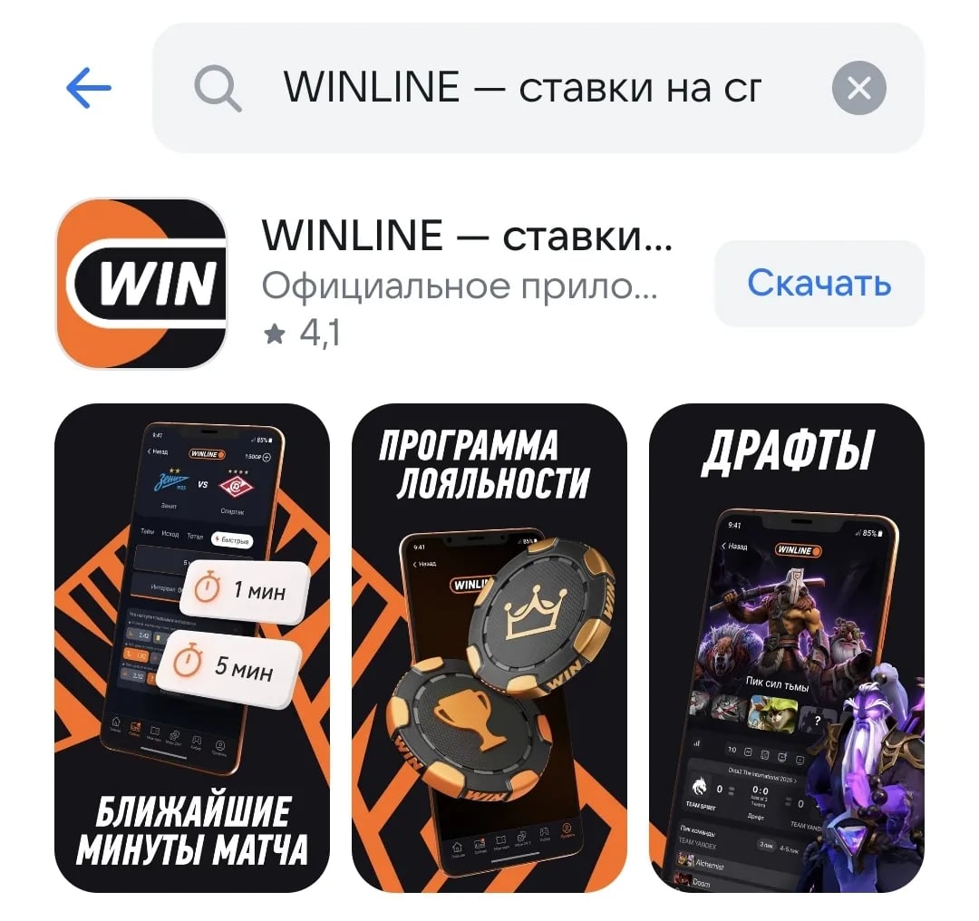 5.webp