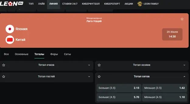 total_voleyball_2.webp