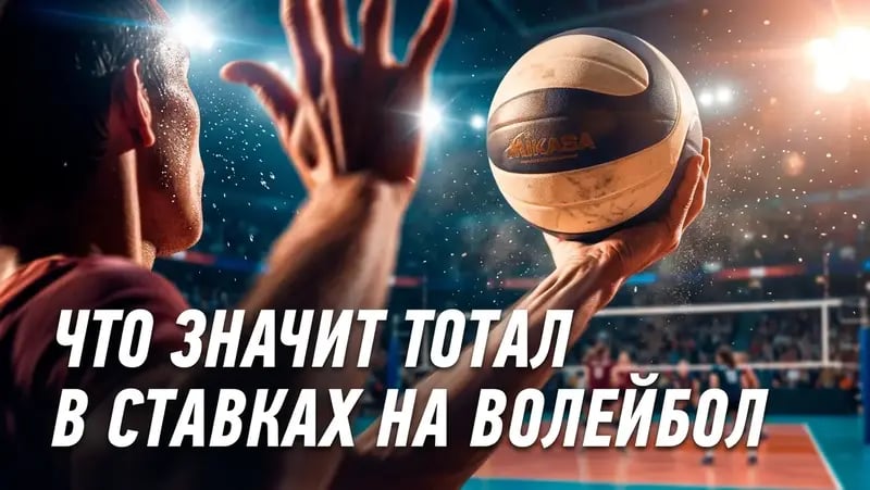 total_voleyball.webp