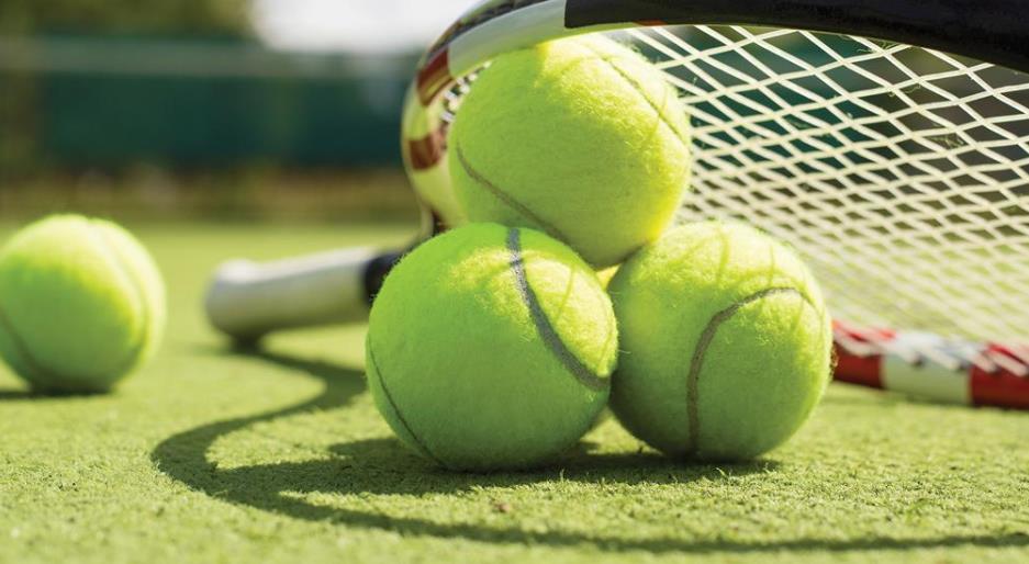 Стратегия ставок Щукина на теннис