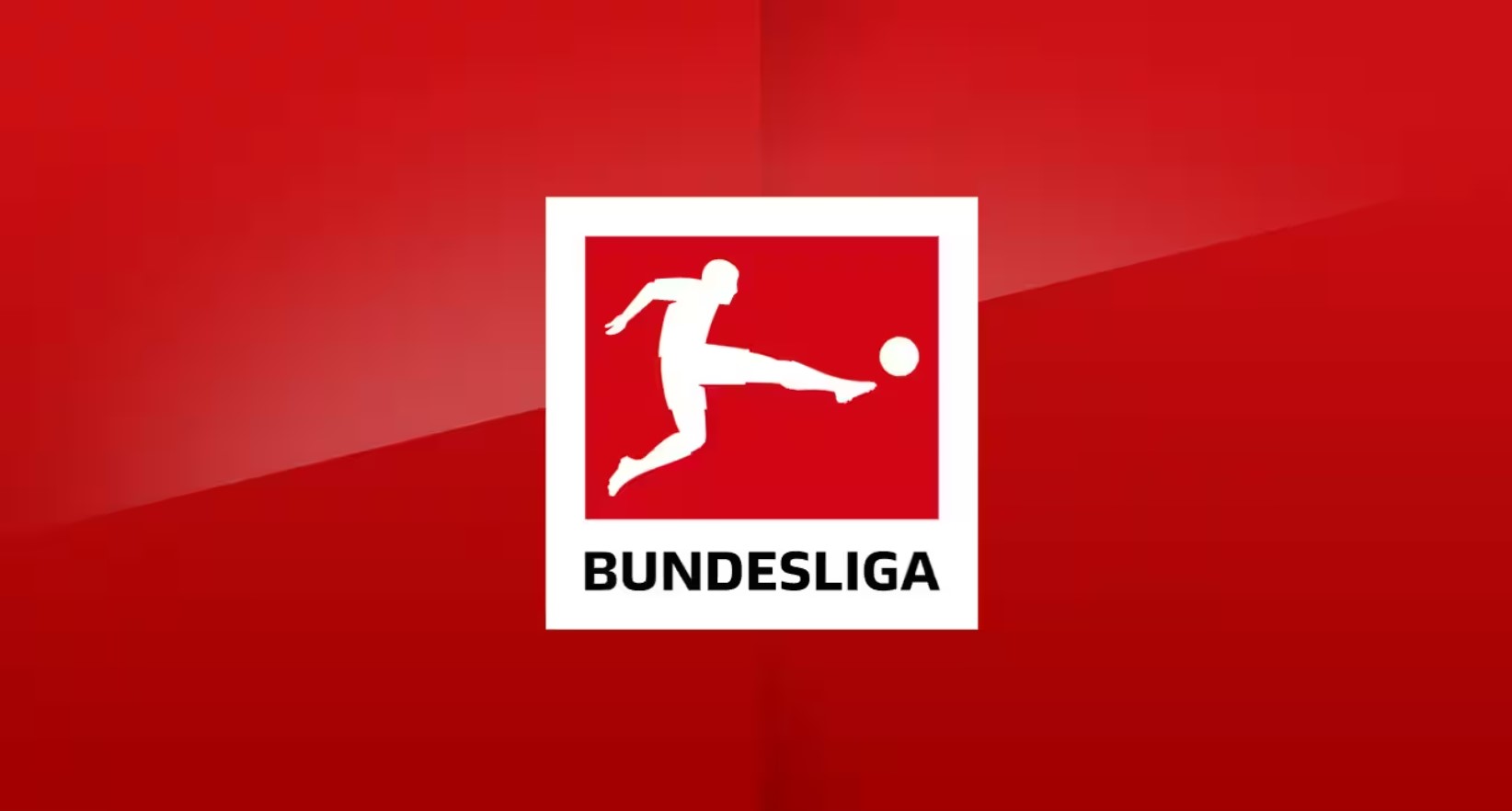 Футбольный сезон 2023/24 в Германии: прогнозы, итоги, интересные факты о Бундеслиге