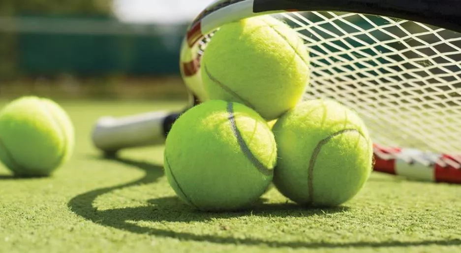 Стратегия ставок Щукина на теннис