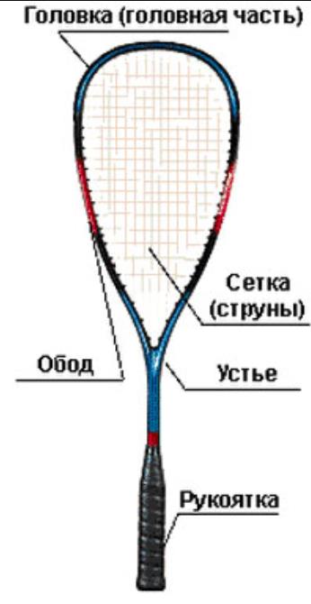 Игра сквош как еще один спорт для ставок 8