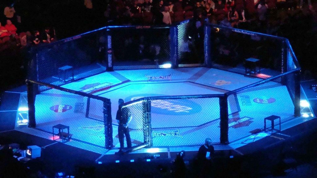 Октагон UFC