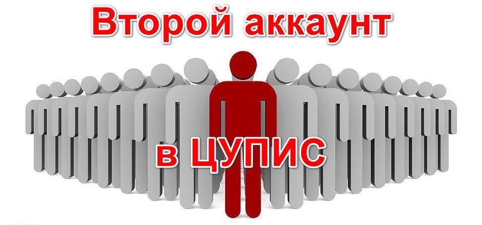 Можно ли завести второй аккаунт в ЦУПИС